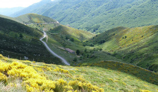 Paysage ardéchois