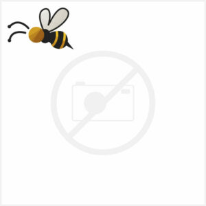 Texte indicatif